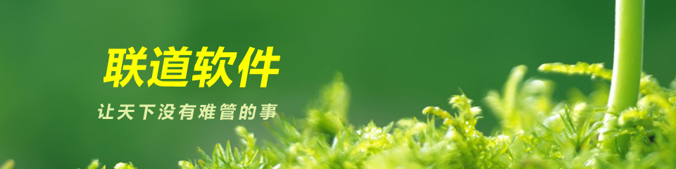 联道云.Inc